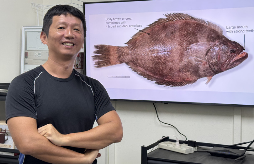 左右邊有差嗎? 中山大學研究揭比目魚眼不對稱演化之謎圖片